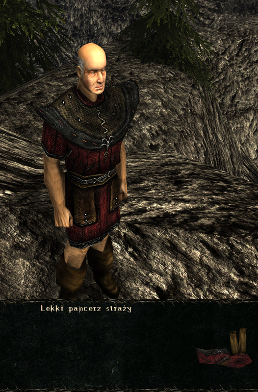 pancerze i ubrania (30)
