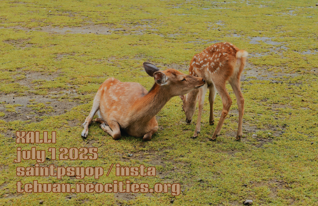 The back cover page of a zine titled 'the deer in nara are easy to love'.