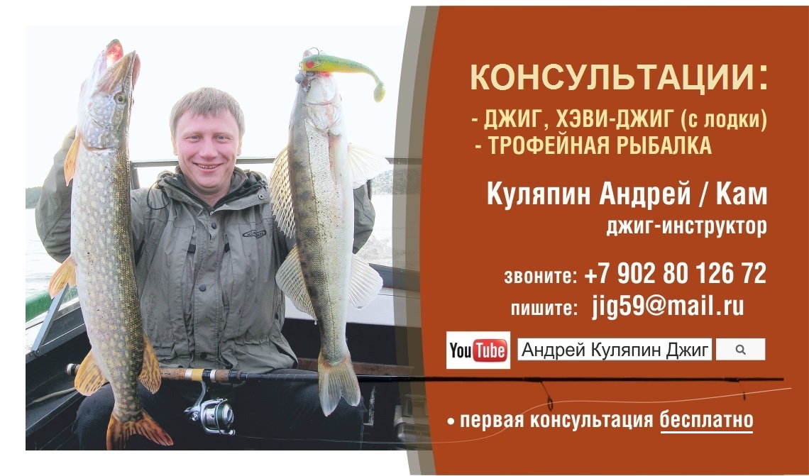 Куляпин Андрей КОНСУЛЬТАЦИИ 2016 — копия