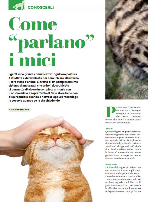 Ga Ma Ott-Nov 2023 (1)