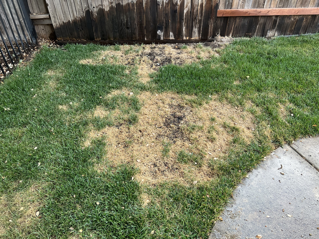 156FE94A-44DF-4FCB-810C-C7D0457B5562