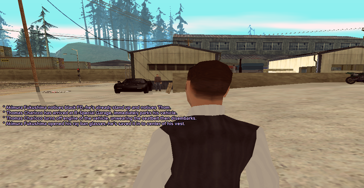 SS-3.png