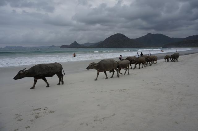 Día 2 - Lombok: Llegada a Kuta - Indonesia y Kuala Lumpur en 18 días: El viaje de mi vida (5)