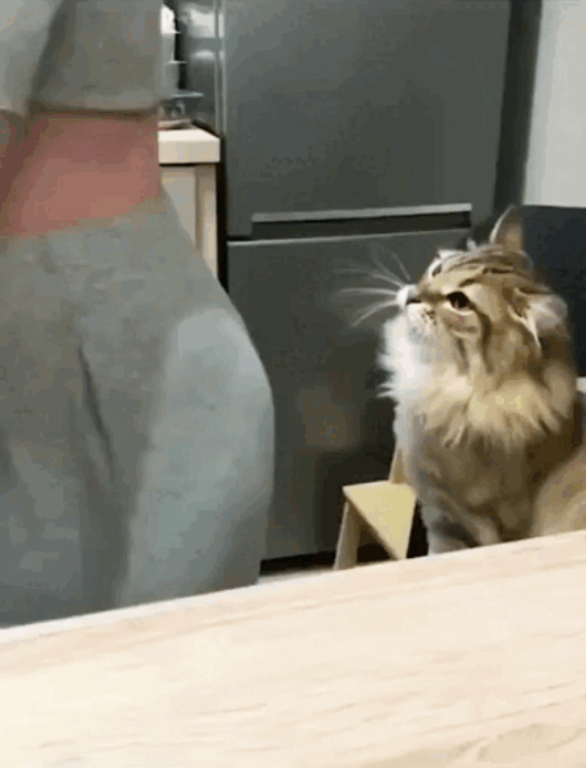 070.gif