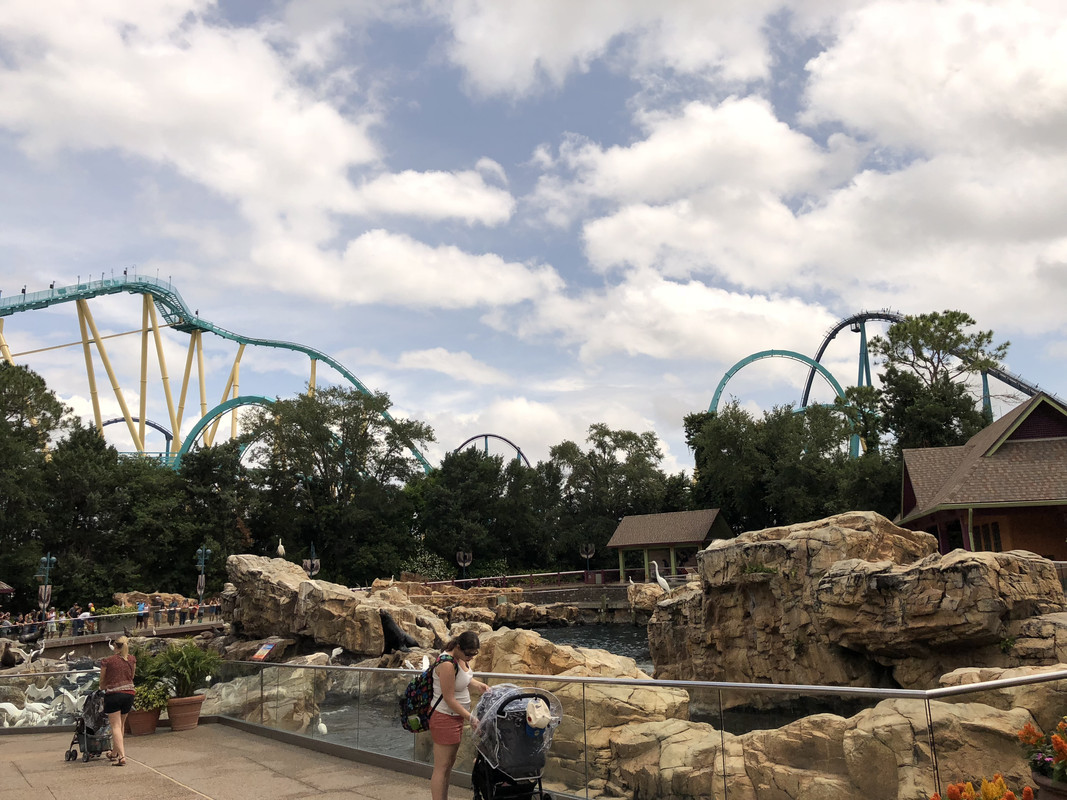 70D14979-632C-4D4E-A81C-0A35F99F3A01