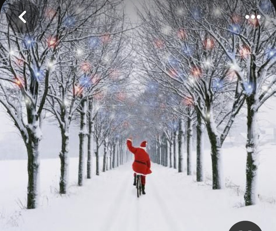 Screenshot_20231111_152653_Pinterest