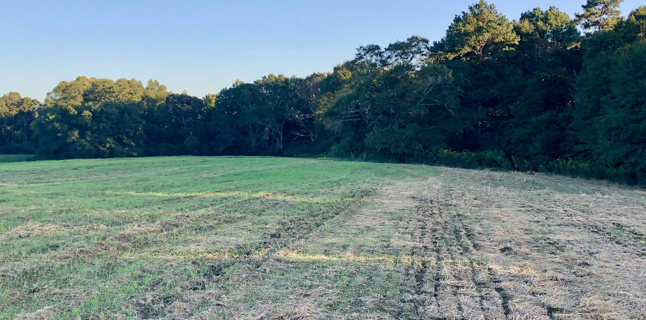 5E1B3D4B-5925-4A4A-8033-E5BFD36F849B