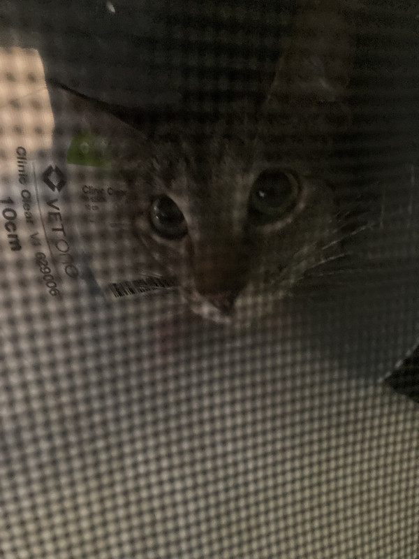 F6725CC0-7ECA-4B8A-8467-E41FF7A6FB0A