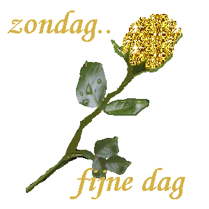 Dagen-zondag-0085.gif