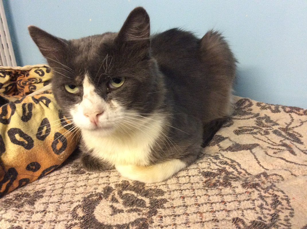 B50E2556-4CD2-4858-8228-9692DE299943