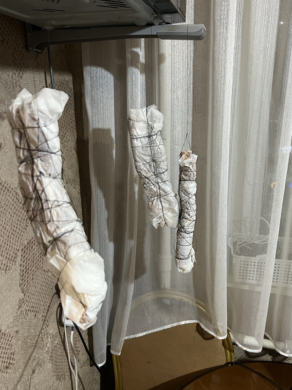 436BC344-7BCA-4031-8D60-64E83475F506