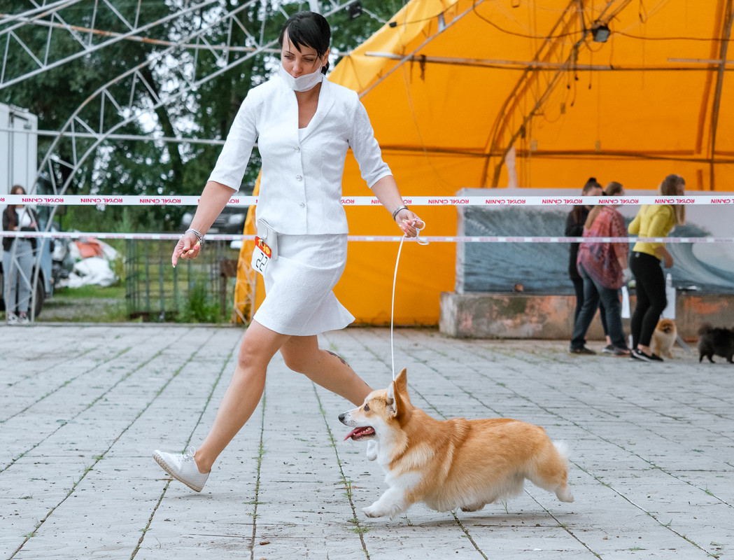 без имени-7110132