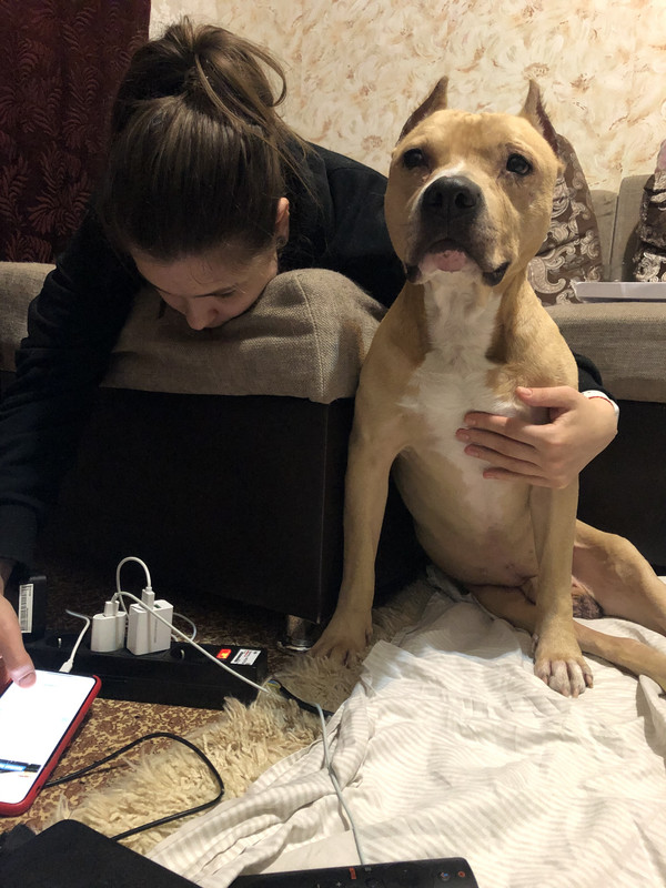 7AF141BE-6FC5-4BF8-8A08-840E45B9CC56