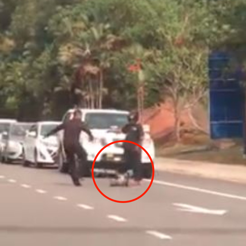 Kera tersungkur setelah ditendang bokongnya