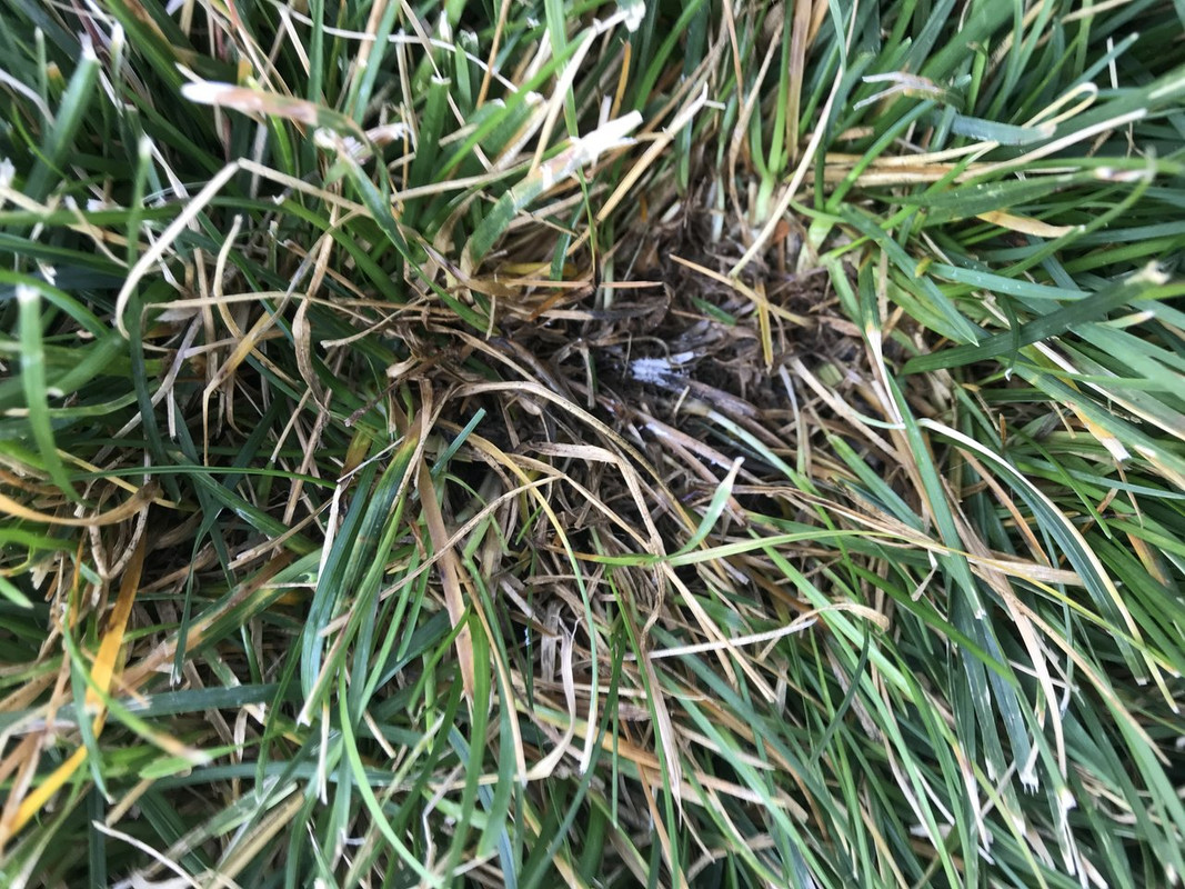 86D76D05-DA9A-4289-8C33-A88F3DC92658