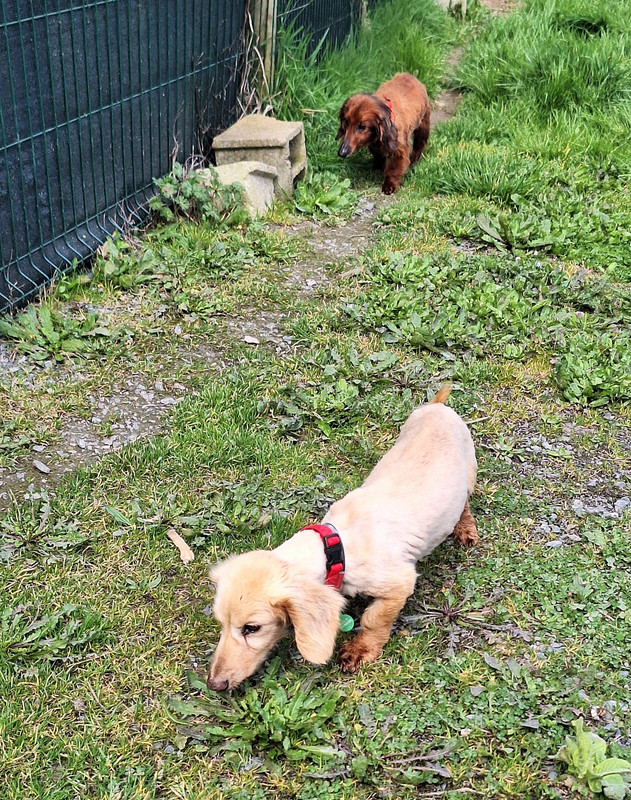 [Image: 20240316-115818.jpg]