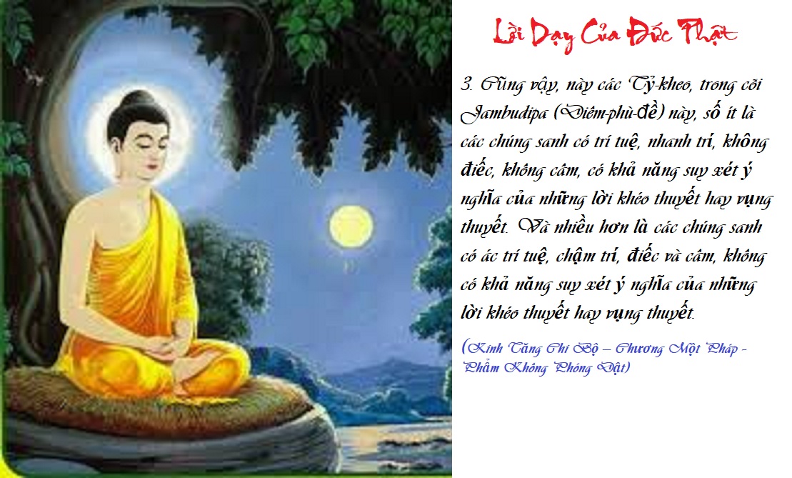 [Image: L-I-D-Y-4-TCBK1.jpg]