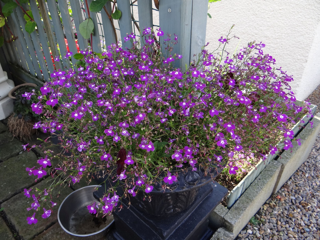 OCTOBER 1ST  6 011023