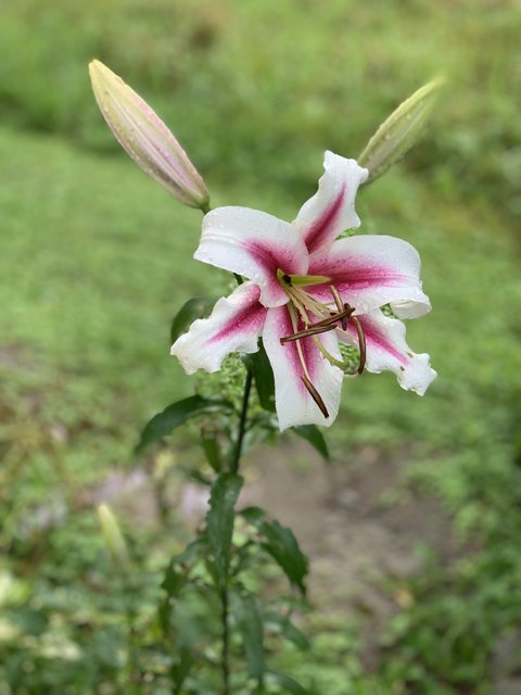 [Image: IMG-6359.jpg]