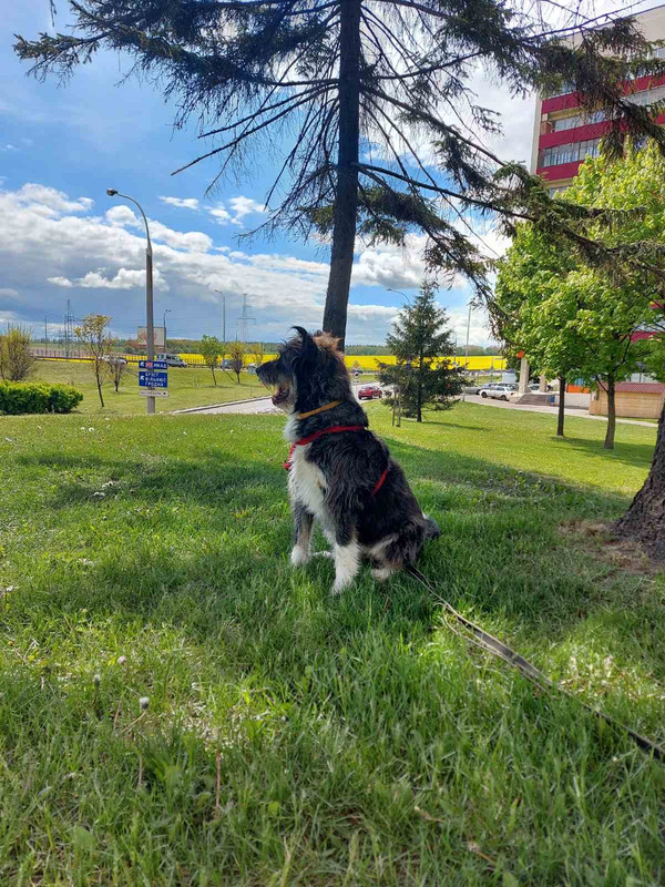 40C4603B-EE95-4348-9BFC-0305BA6B0797