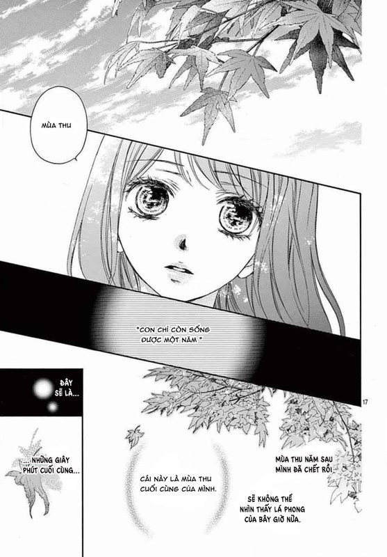 Kitto Ai Dakara, Iranai Chap 7 - Next Chap 8