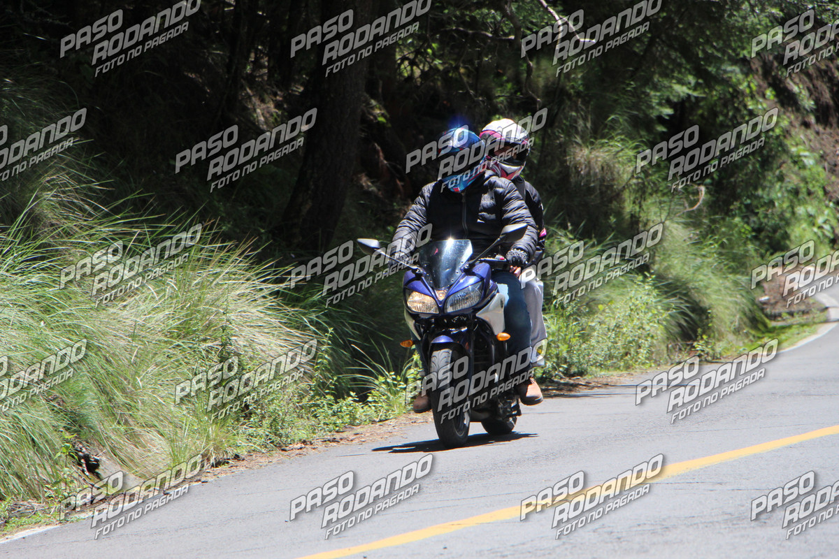 IMG 1885 wm 74837 20000000019 watermarked — Postimages