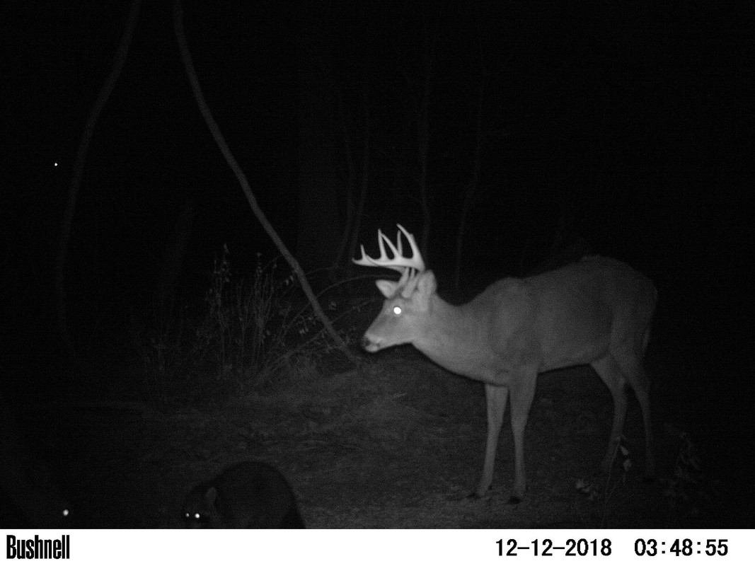 384E05BC-841C-4EDD-8848-F7E3B777B4CC