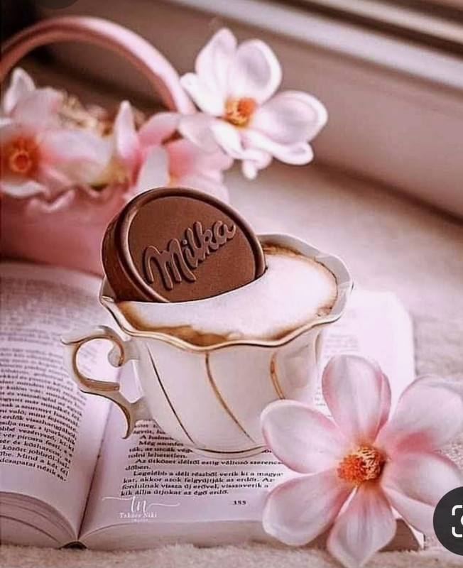 Screenshot_20230307_001528_Pinterest