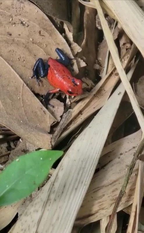 E50827BD-72A0-4ED2-8AB1-34C368C27701