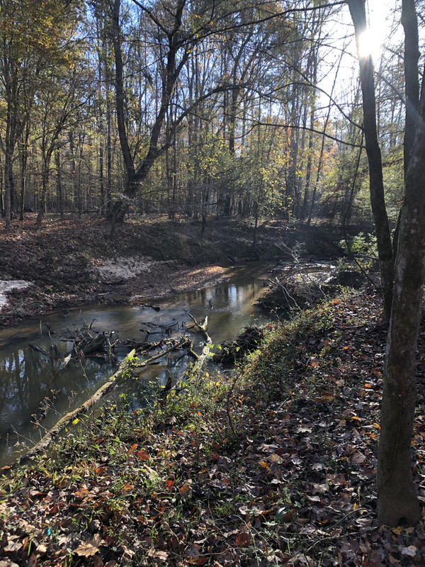 A glorious morning in God’s country | O-T Lounge