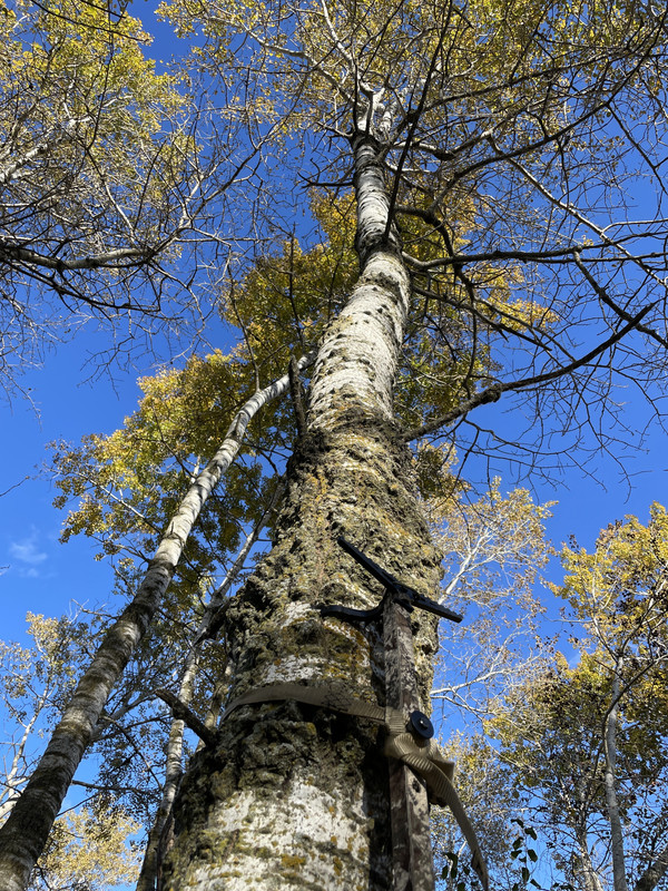 CE04AE17-6A7B-4EA6-B3D1-FD68BBFFA4F0