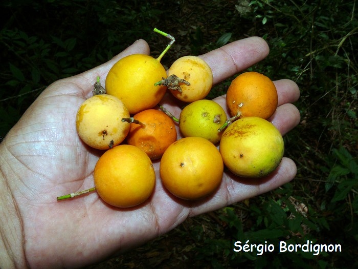 1392d9622a33f1ed6c09767e100960dd852c