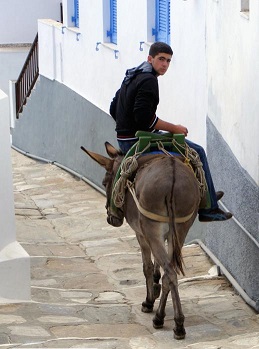 Riding side saddle v riding astride Boy-riding-a-donkey