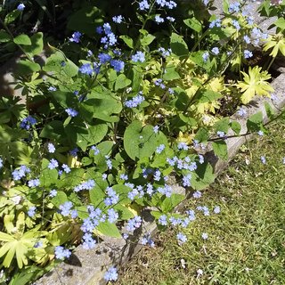 [Bild: 20210514-143011.jpg]