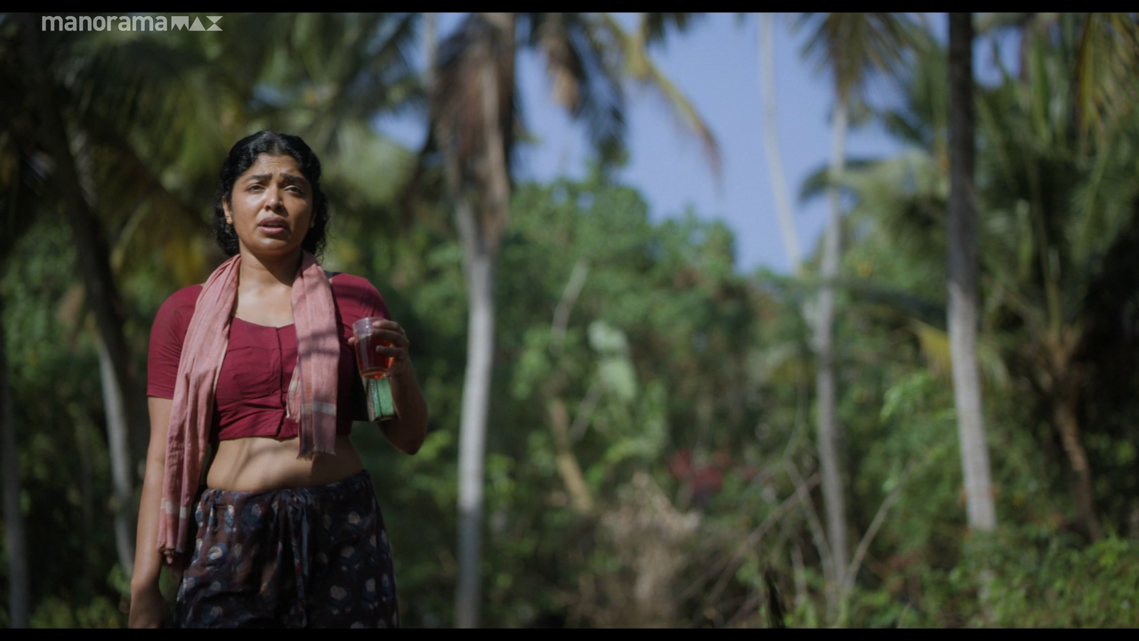 vlcsnap 2026 02 25 12h49m59s146