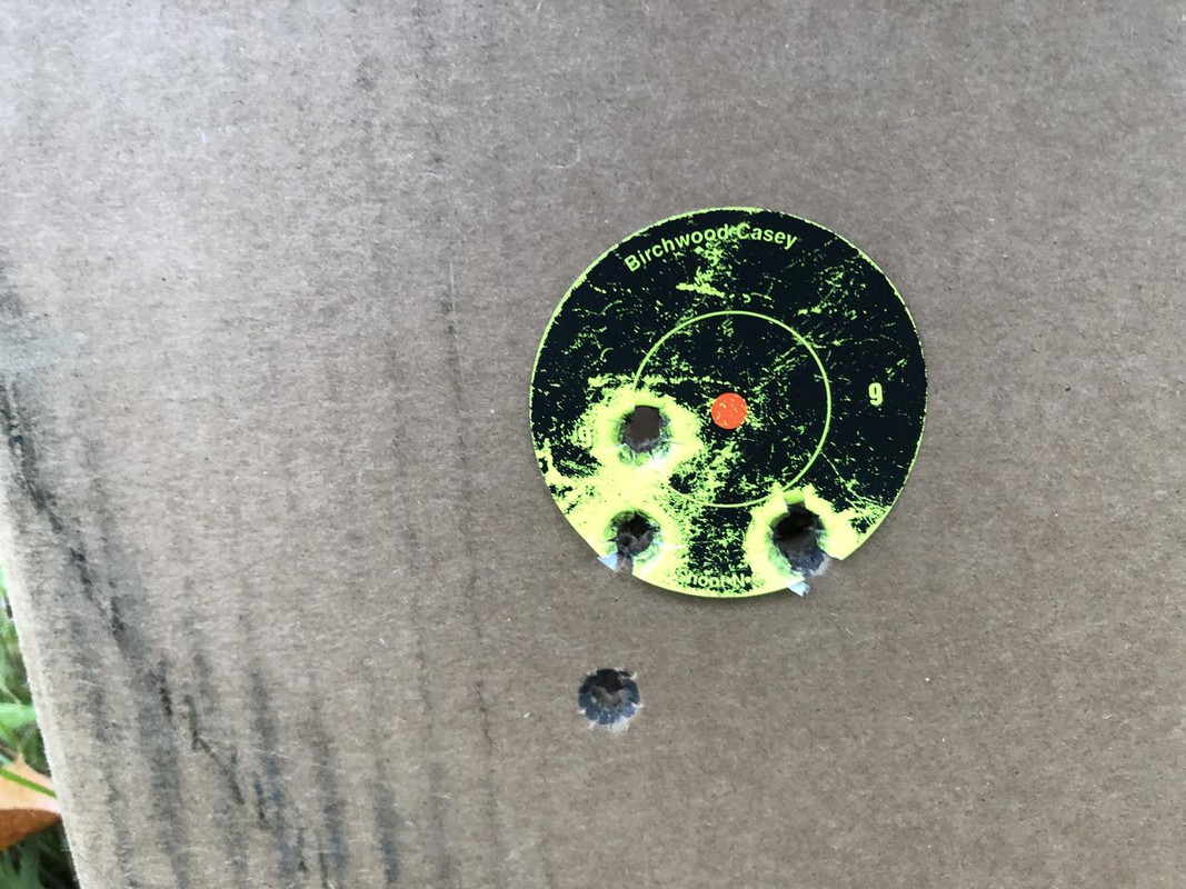 5AA43B39-CB37-41CB-9D30-816EA8B63A87