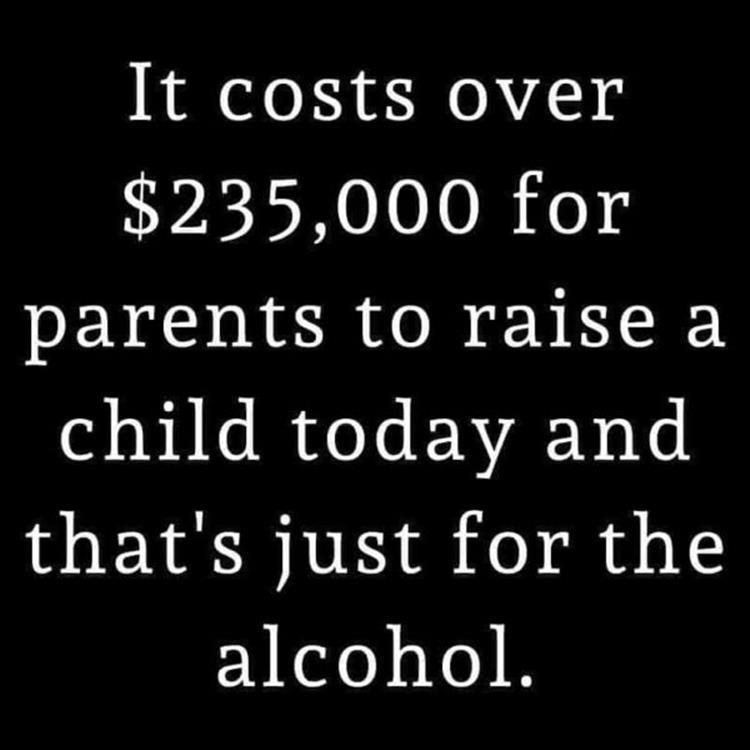 235k_in_alcohol_to_raise_1_kid.jpg