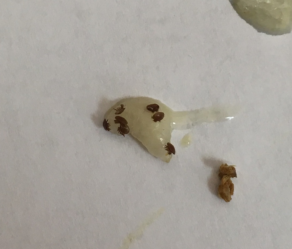 9442746C-7C37-4987-84DC-8212AC95B081