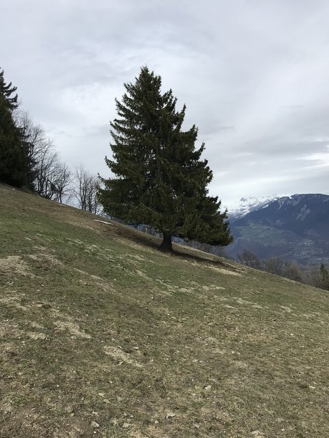 [Image: 07-DDE50-F-00-D8-4-B81-9577-38-ED1-FAB1-A34.jpg]