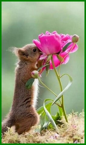 An den Beitrag angehängtes Bild: https://i.postimg.cc/zDKg3737/zaterdag.jpg