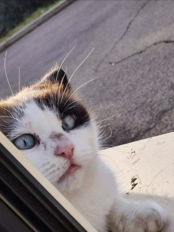 Screenshot_20230118-110059_WhatsApp