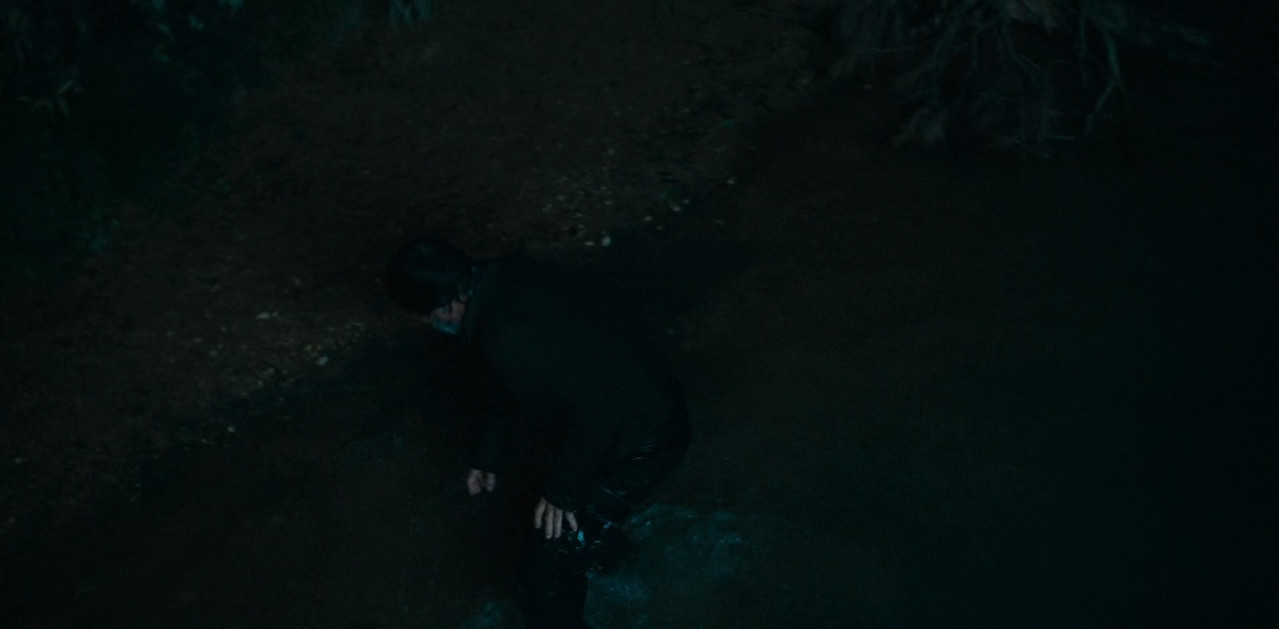 La Bestia del Pantano (2026) Web Dl 1080p L mkv snapshot 01 03 59 545