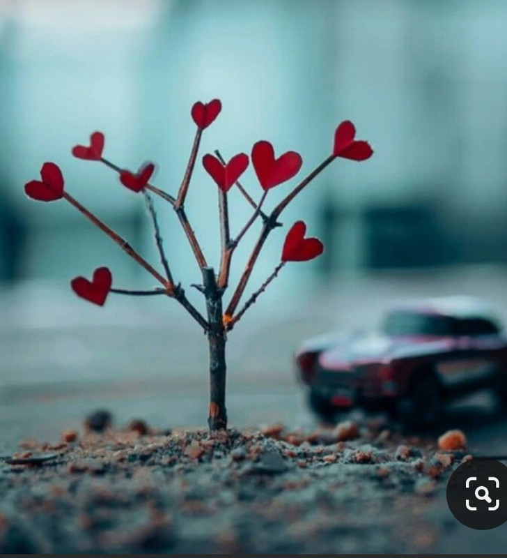 Screenshot_20240214_172414_Pinterest