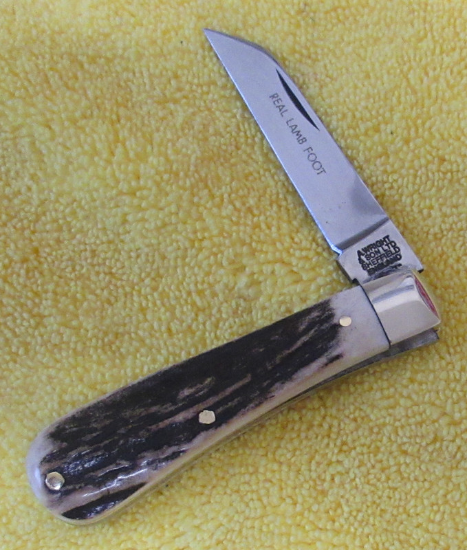 AW Small Sambar LF (2) 1-1