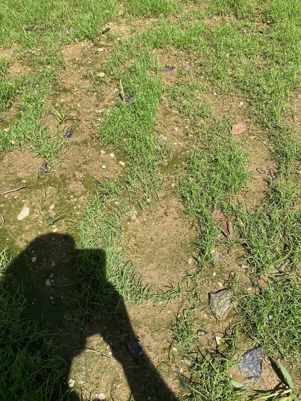 31A1110A-C134-4F8C-A44C-B2B288E5A32D