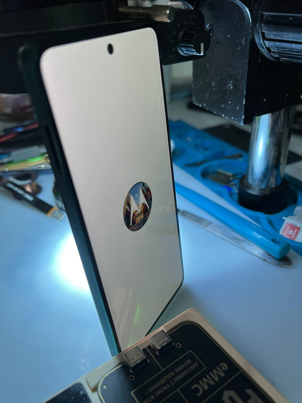 photo 2026 03 26 11 09 53