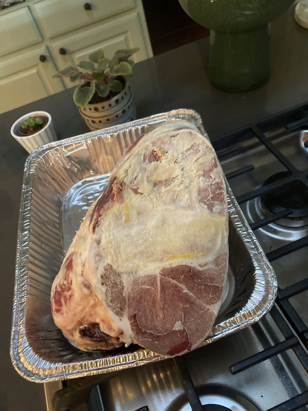 2D082A58-96DE-48DF-9509-A86E66147A78