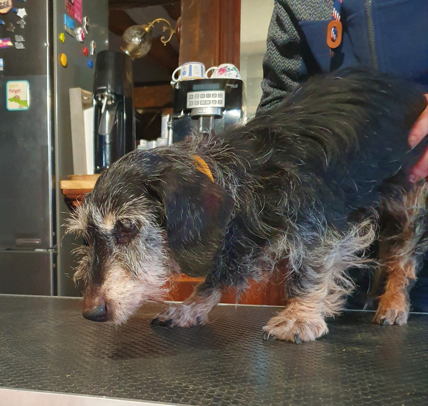 [Image: 20210204-161058.jpg]