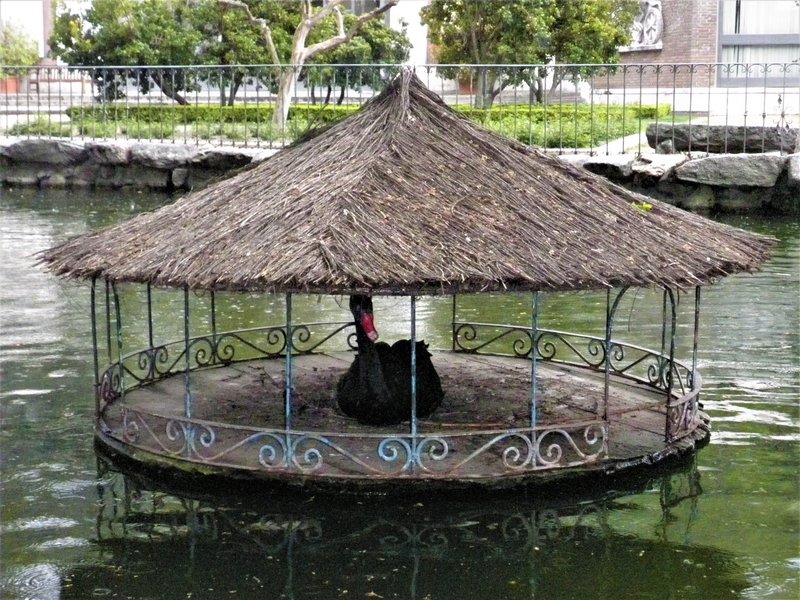 JARDINES CAMPO DEL MORO-29-4-2012-MADRID - Paseando por España-1991/2016 (38)