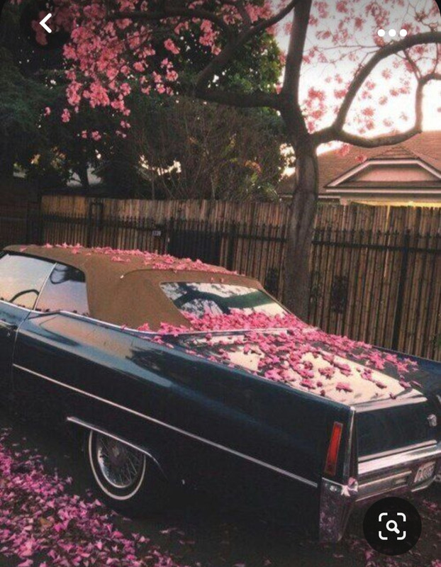 Screenshot_20231006_201534_Pinterest